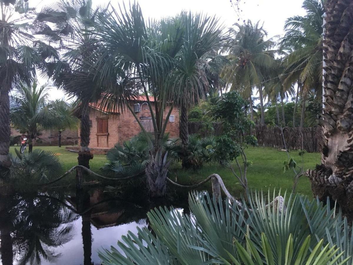 Rancho Do Buna باريرينهاس المظهر الخارجي الصورة